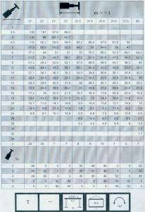 300车全套性能表011